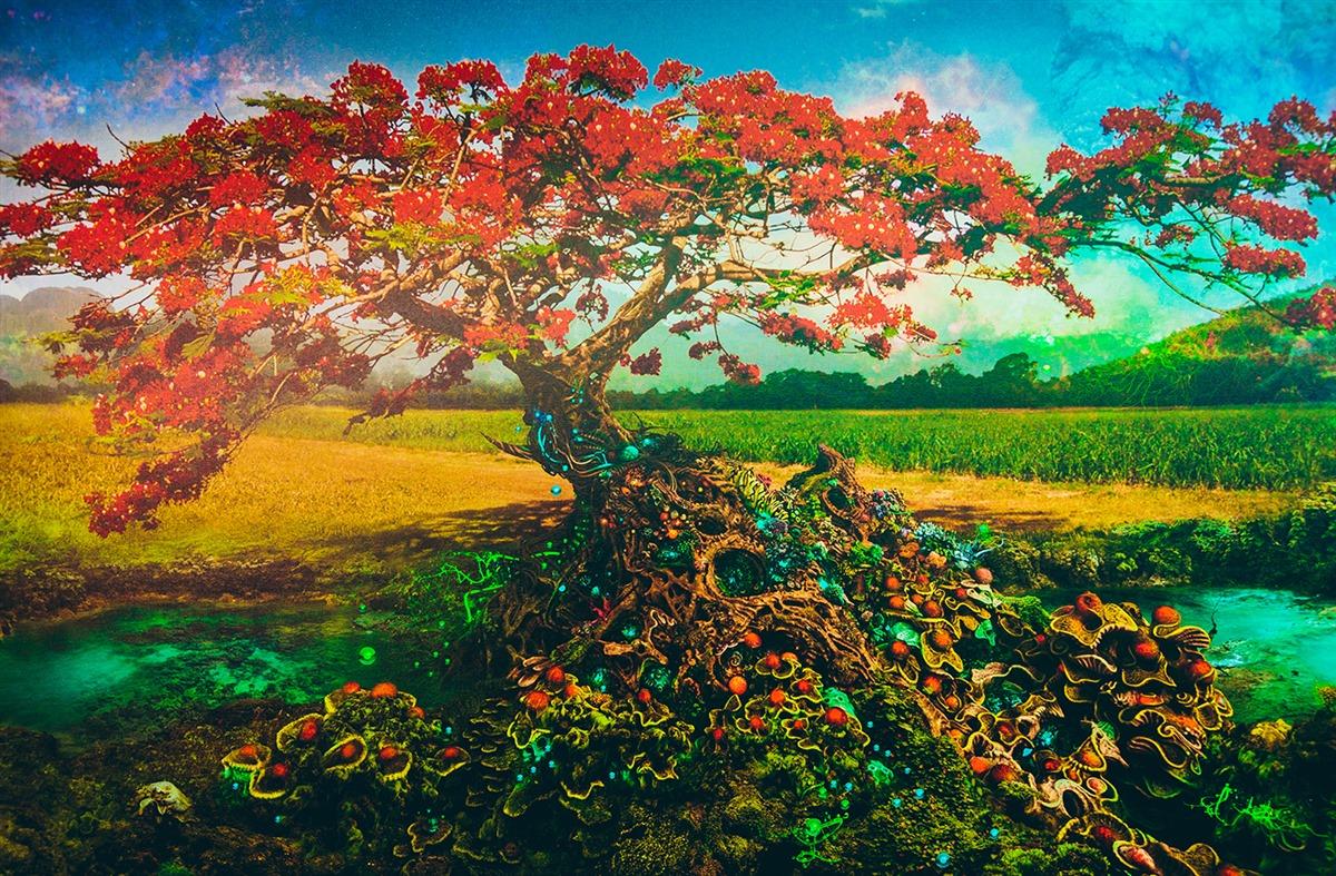 Artist artwork