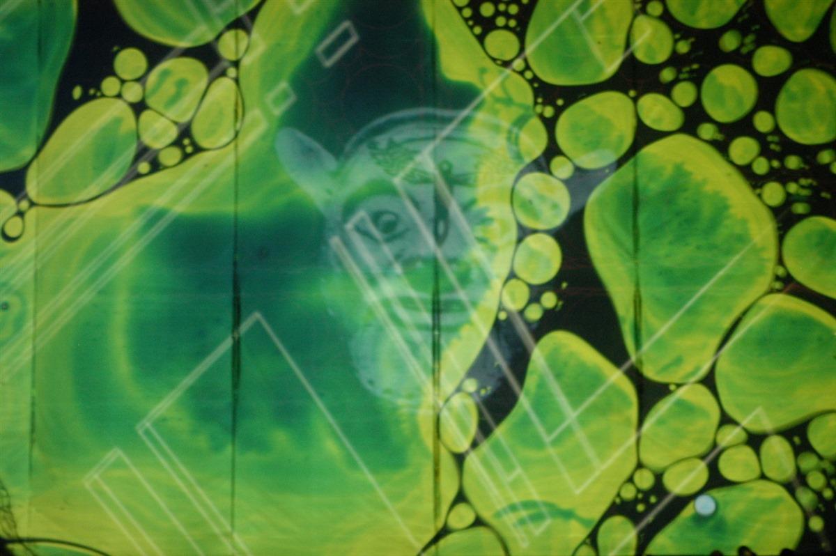 Artist artwork