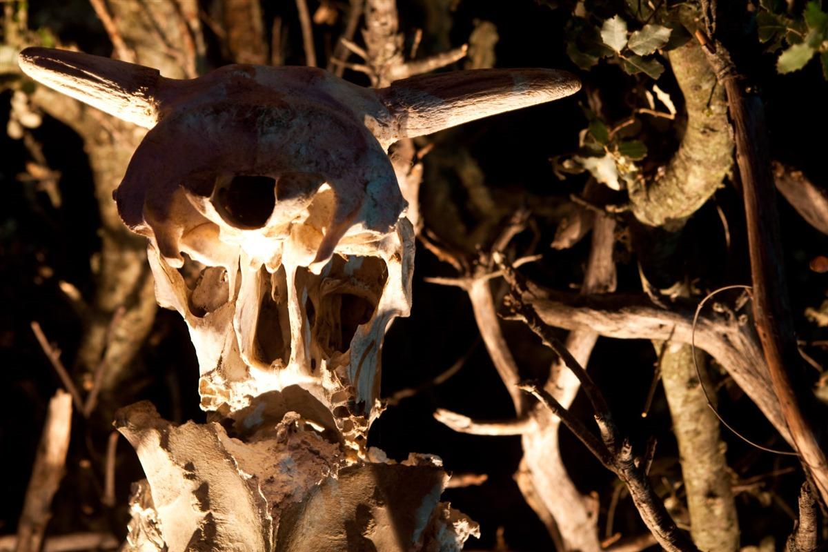 Artist artwork